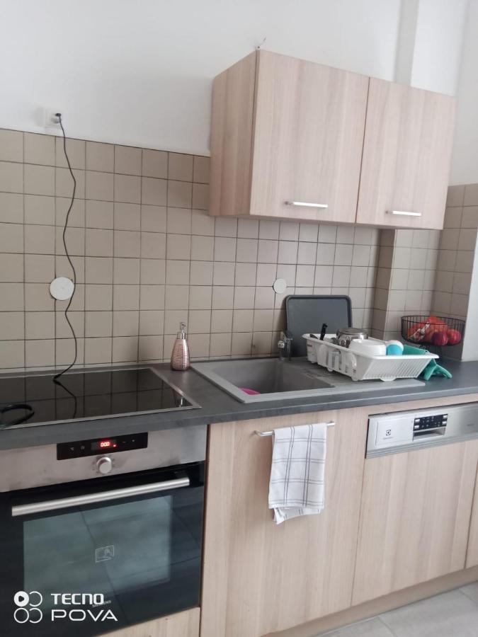 Grand Appartement Au Coeur De ستراسبورغ المظهر الخارجي الصورة