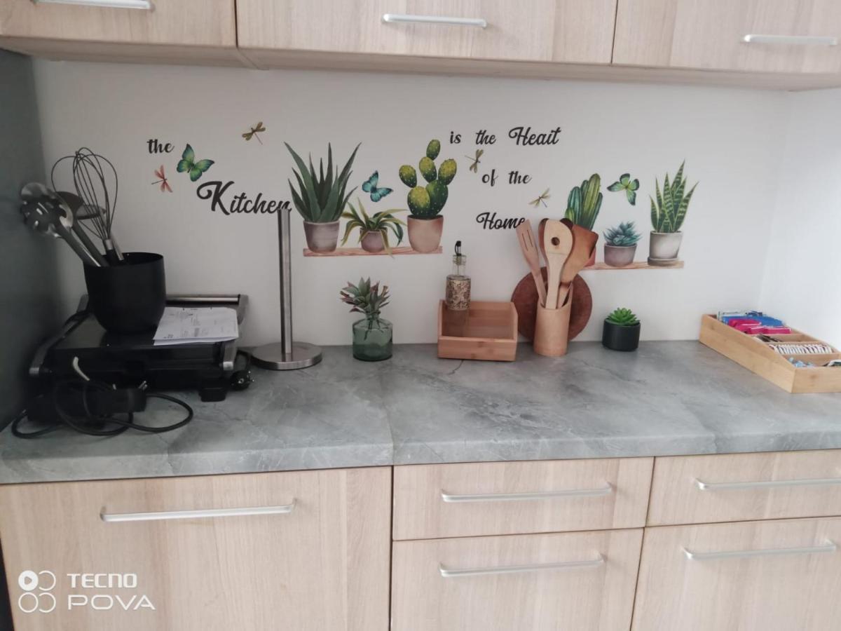 Grand Appartement Au Coeur De ستراسبورغ المظهر الخارجي الصورة